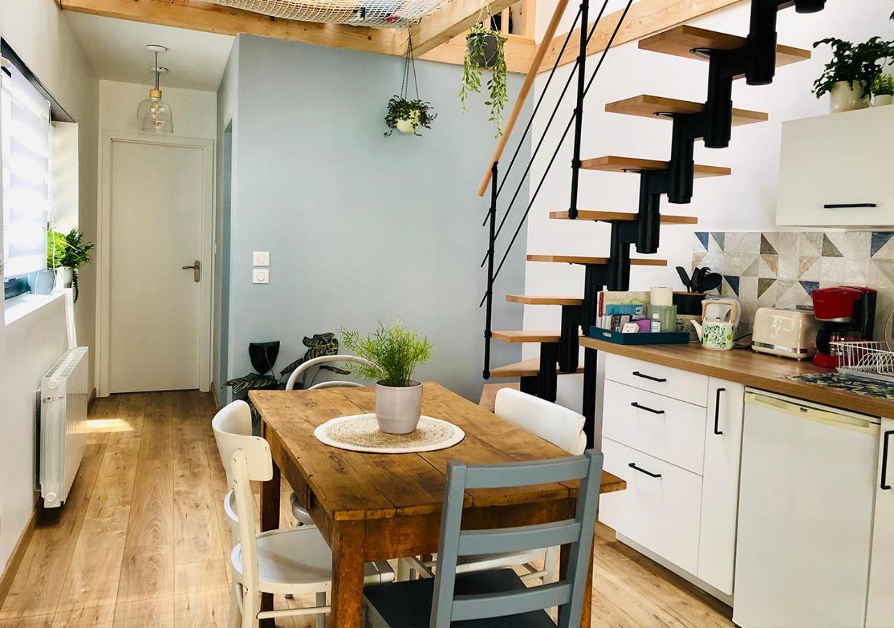 Maison Duplex, Avec Terrasse Dans 斯特拉斯堡 外观 照片