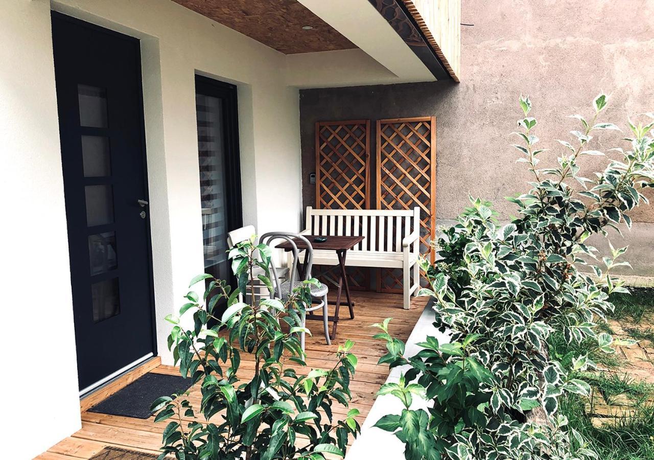 Maison Duplex, Avec Terrasse Dans 斯特拉斯堡 外观 照片